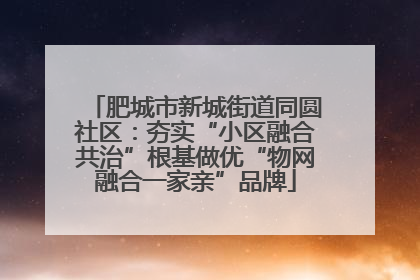 肥城市新城街道同圆社区：夯实“小区融合共治”根基做优“物网融合一家亲”品牌