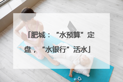肥城：“水预算”定盘，“水银行”活水