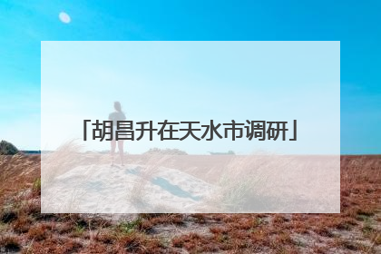 胡昌升在天水市调研