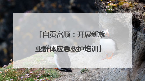 自贡富顺：开展新就业群体应急救护培训