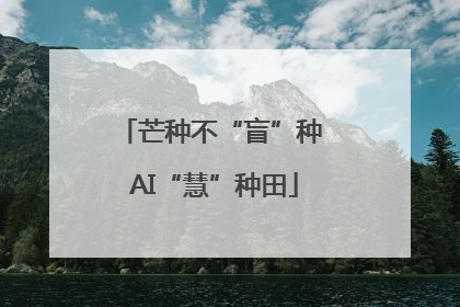 芒种不“盲”种 AI“慧”种田