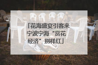 花海盛宴引客来 宁波宁海“赏花经济”别样红