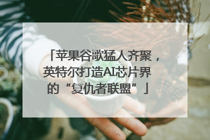 苹果谷歌猛人齐聚，英特尔打造AI芯片界的“复仇者联盟”