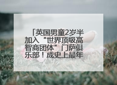 英国男童2岁半加入“世界顶级高智商团体”门萨俱乐部！成史上最年轻男性会员