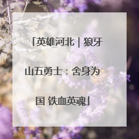 英雄河北｜狼牙山五勇士：舍身为国 铁血英魂
