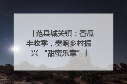 范县城关镇：香瓜丰收季，奏响乡村振兴 “甜蜜乐章”