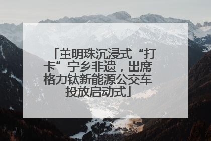 董明珠沉浸式“打卡”宁乡非遗，出席格力钛新能源公交车投放启动式