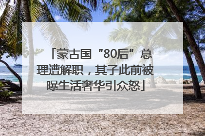 蒙古国“80后”总理遭解职，其子此前被曝生活奢华引众怒