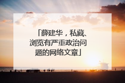 薛建华，私藏、浏览有严重政治问题的网络文章