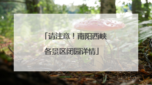 请注意！南阳西峡各景区闭园详情