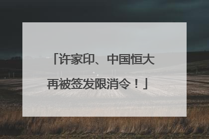 许家印、中国恒大再被签发限消令！