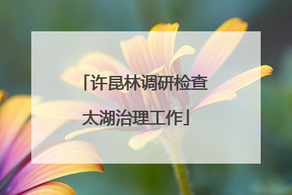 许昆林调研检查太湖治理工作