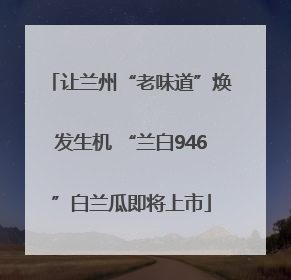 让兰州“老味道”焕发生机 “兰白946”白兰瓜即将上市