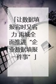 让数据填报省时又省力 禹城全面推进“企业数据填报一件事”