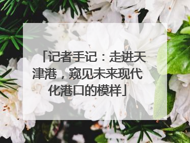 记者手记：走进天津港，窥见未来现代化港口的模样