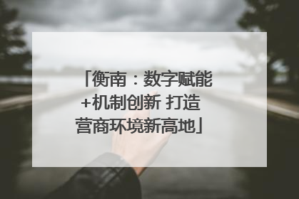 衡南：数字赋能+机制创新 打造营商环境新高地