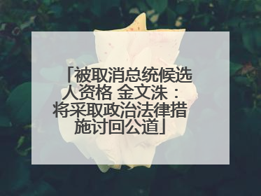 被取消总统候选人资格 金文洙：将采取政治法律措施讨回公道