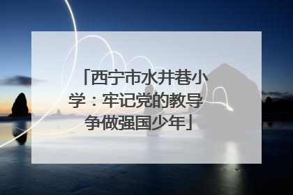 西宁市水井巷小学：牢记党的教导 争做强国少年