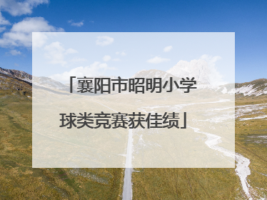 襄阳市昭明小学球类竞赛获佳绩