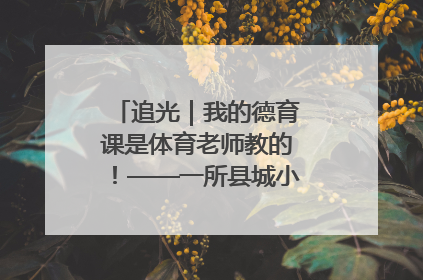 追光｜我的德育课是体育老师教的！——一所县城小学的思政课改革