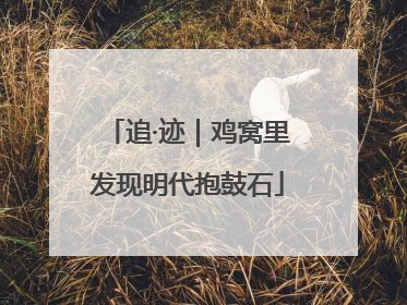 追·迹｜鸡窝里发现明代抱鼓石