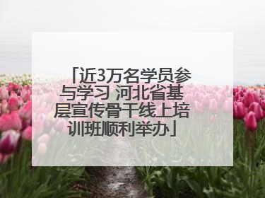 近3万名学员参与学习 河北省基层宣传骨干线上培训班顺利举办