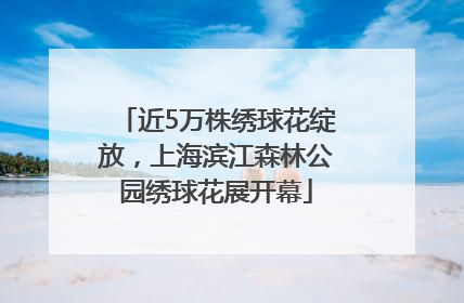 近5万株绣球花绽放，上海滨江森林公园绣球花展开幕