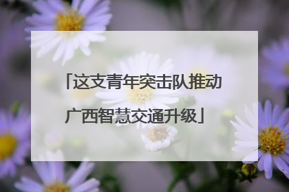 这支青年突击队推动广西智慧交通升级