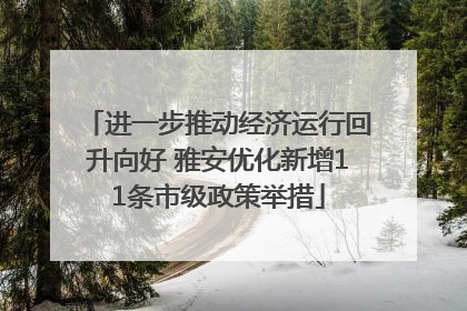 进一步推动经济运行回升向好 雅安优化新增11条市级政策举措