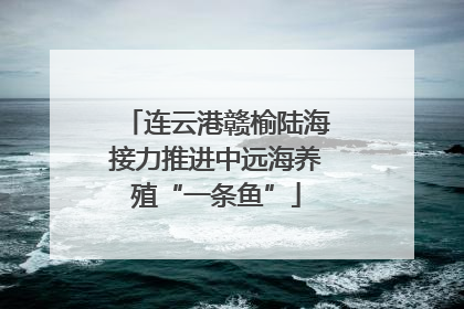连云港赣榆陆海接力推进中远海养殖“一条鱼”
