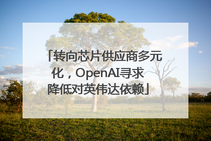 转向芯片供应商多元化，OpenAI寻求降低对英伟达依赖