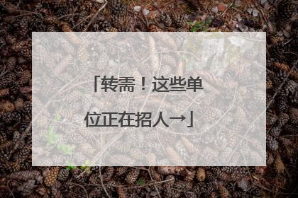 转需！这些单位正在招人→