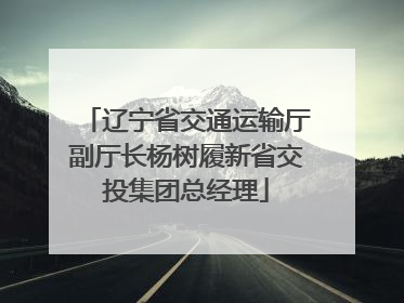 辽宁省交通运输厅副厅长杨树履新省交投集团总经理