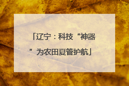 辽宁：科技“神器”为农田夏管护航