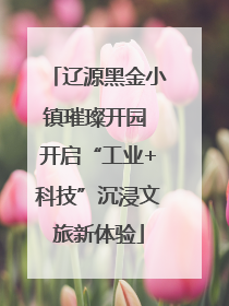 辽源黑金小镇璀璨开园 开启“工业+科技”沉浸文旅新体验