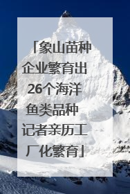 象山苗种企业繁育出26个海洋鱼类品种 记者亲历工厂化繁育