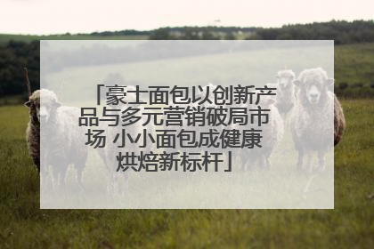 豪士面包以创新产品与多元营销破局市场 小小面包成健康烘焙新标杆