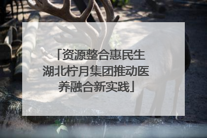 资源整合惠民生 湖北柠月集团推动医养融合新实践