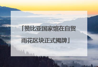 赞比亚国家馆在自贸雨花区块正式揭牌