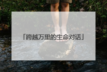 跨越万里的生命对话