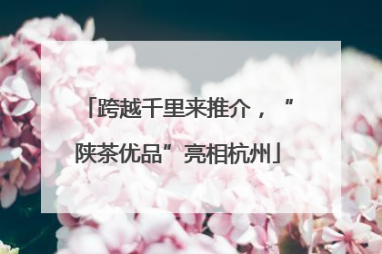 跨越千里来推介，“陕茶优品”亮相杭州
