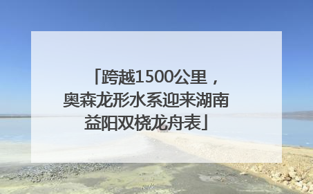 跨越1500公里，奥森龙形水系迎来湖南益阳双桡龙舟表