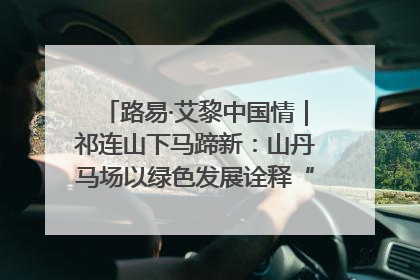 路易·艾黎中国情｜祁连山下马蹄新：山丹马场以绿色发展诠释“两山”理论实践