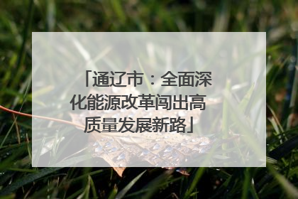 通辽市：全面深化能源改革闯出高质量发展新路