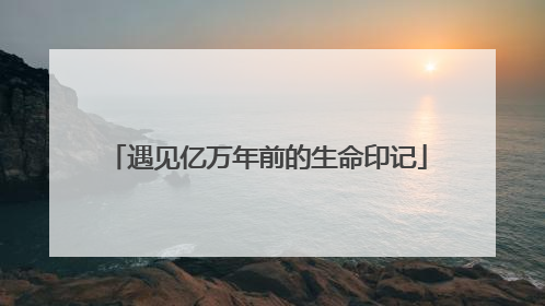 遇见亿万年前的生命印记