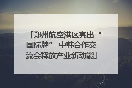 郑州航空港区亮出“国际牌” 中韩合作交流会释放产业新动能