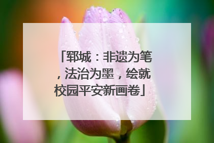 郓城：非遗为笔，法治为墨，绘就校园平安新画卷