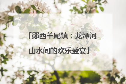 郧西羊尾镇：龙潭河山水间的欢乐盛宴