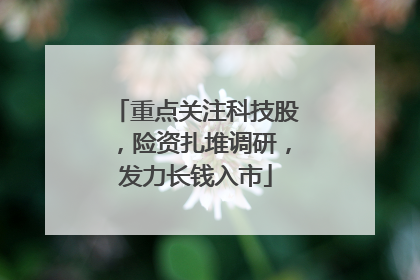 重点关注科技股，险资扎堆调研，发力长钱入市