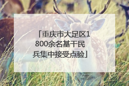 重庆市大足区1800余名基干民兵集中接受点验